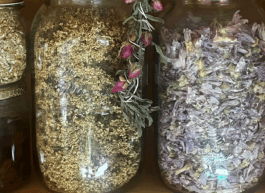 Herbs of Dreama